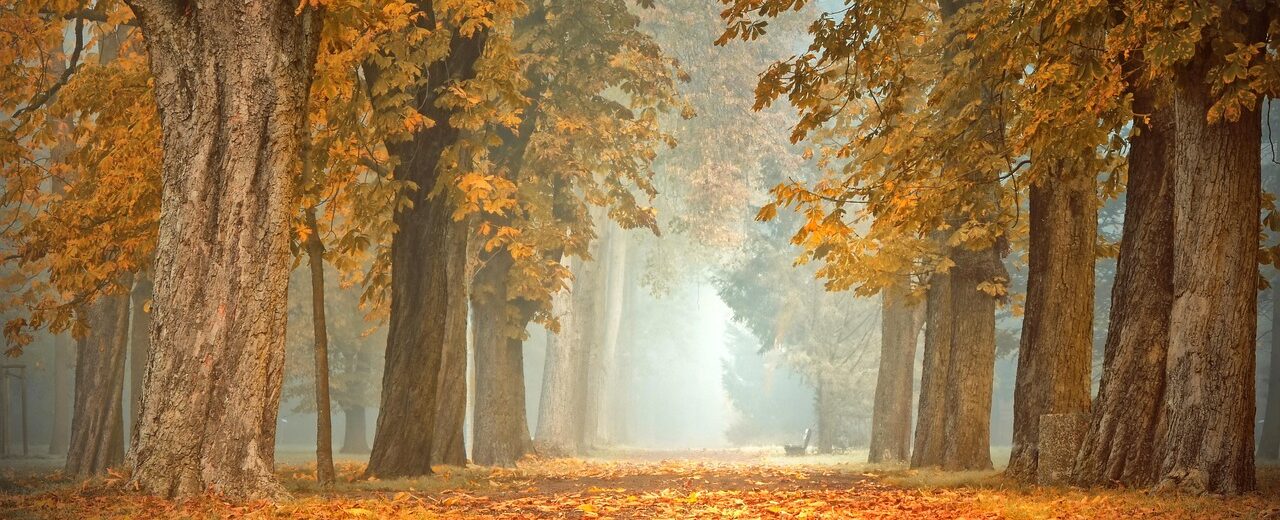 Trauernde Familien in der dunklen Jahreszeit – was hilft?