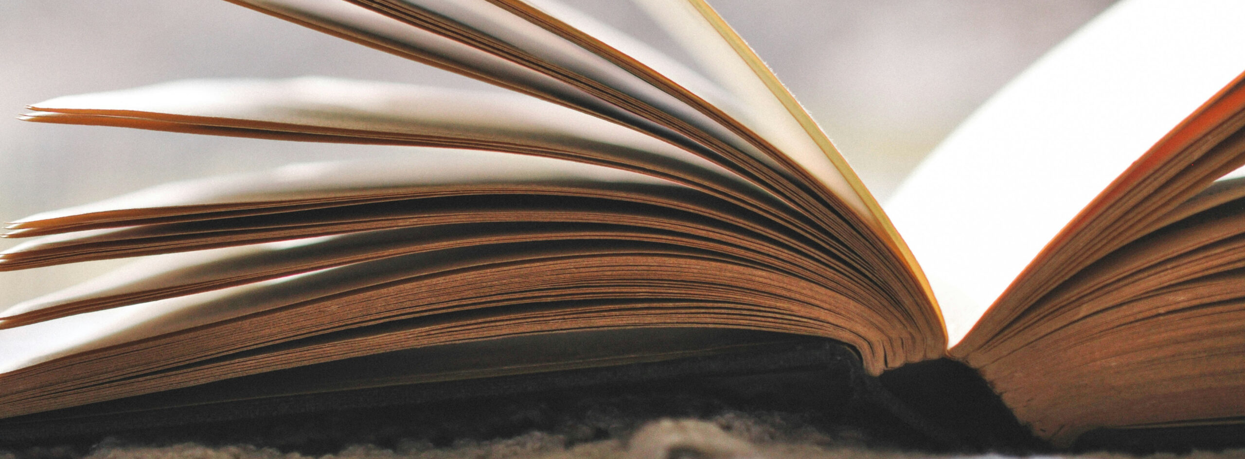 Buchbesprechung: „Wie ist das mit dem Krebs“